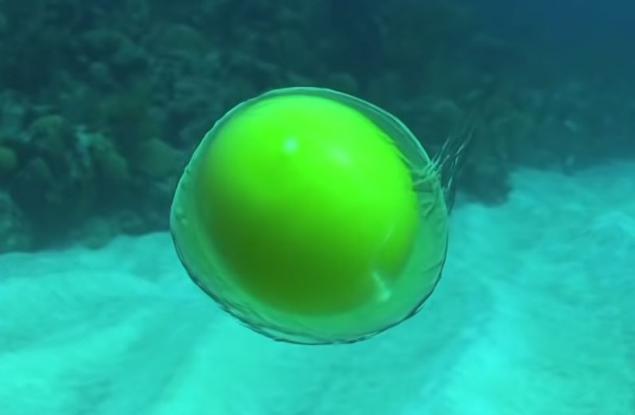 Вижте какво се случва, когато счупим яйце на 18 метра под водата