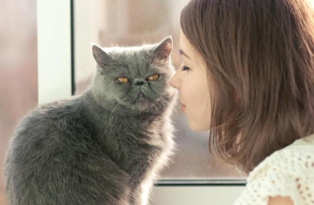 Учени обясниха как котките удължават живота ни