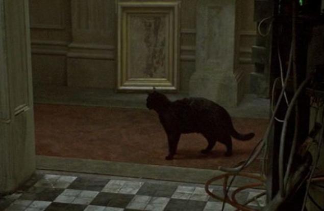 Учени откриха обяснение на феномена „дежавю“