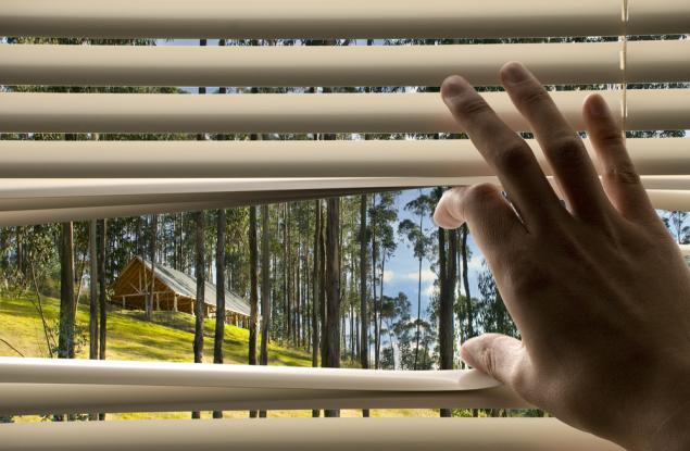 Има връзка между мястото на живеене и характера