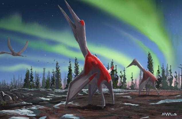 Този птерозавър е едно от най-големите летящи животни, откривани някога