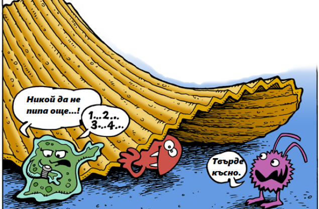 Какво всъщност се случва с храната, когато падне на пода
