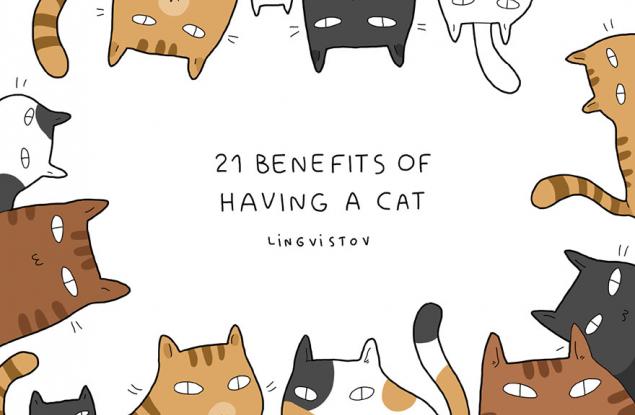 21 предимства да имаш котка