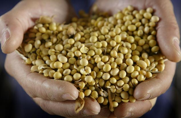 Играем ли на богове?