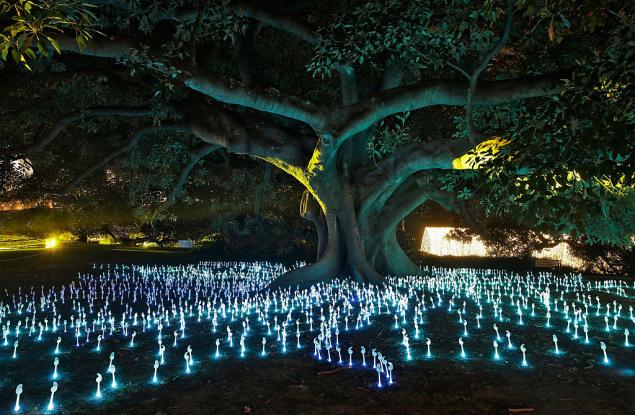 Разходка из градината на светлината в Сидни