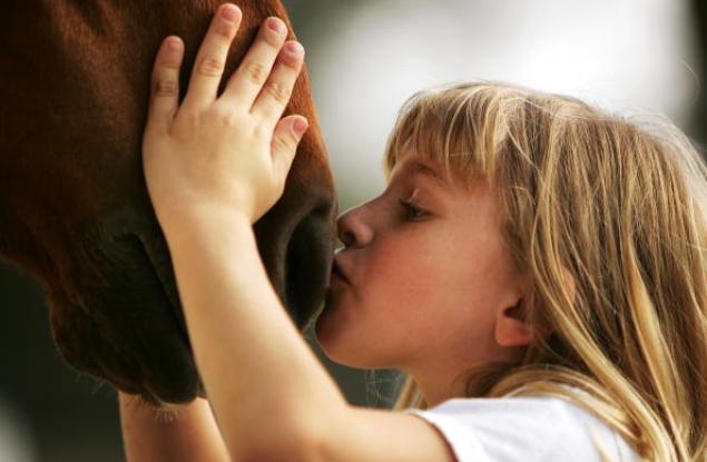 Конят – моят приятел