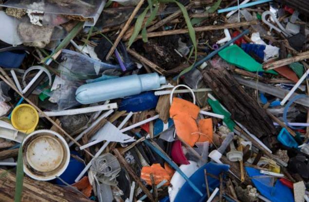 Откриха над 1000 парчета пластмаса в стомаха на мъртъв кит