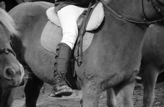 Логическа задача: Надбягване с коне