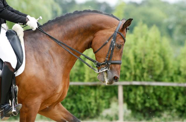 Да спечелиш състезание, въпреки че си мъртъв