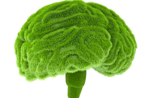 Зелената връзка