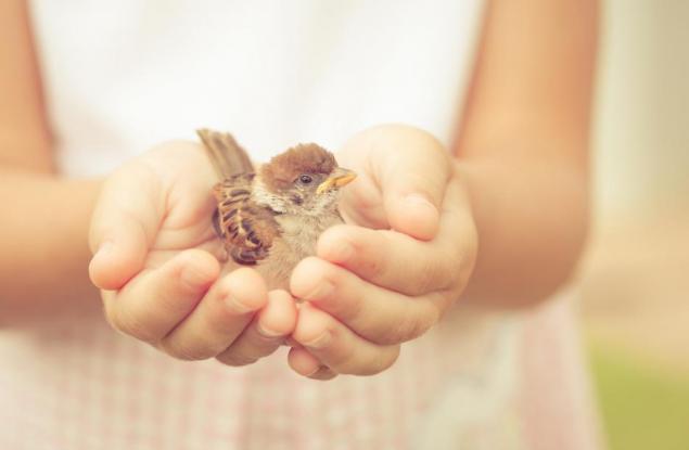 10-те черти на добрия човек или как е редно да се държим с останалите