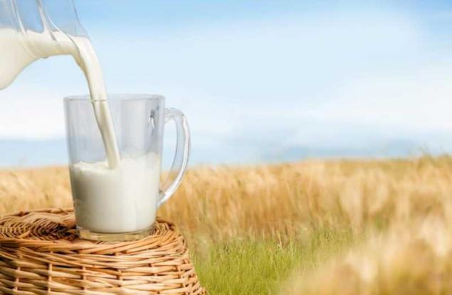 Трябва ли да пием мляко за здрави кости?