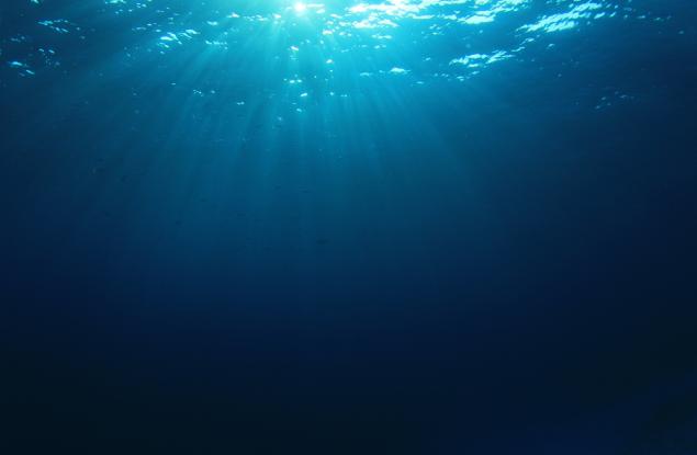 Мистериозно чудовище изхвърли морето край Тексас