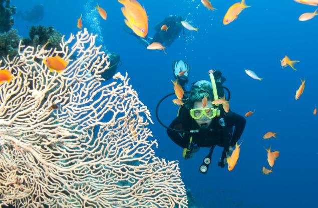 15 сюрреалистични снимки от Големия бариерен риф 