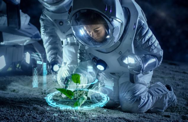 Чешки учени отглеждат растения в условия, сходни с тези на Марс