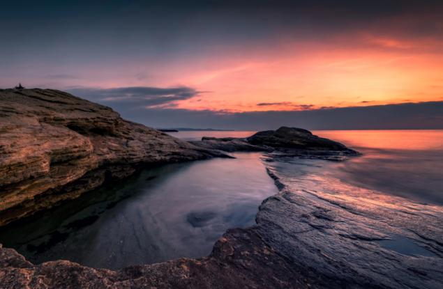 По случай Деня на Черно море WWF призовава да избираме устойчива морска храна