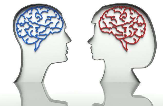 Мозъците на жените имат по-голям кръвопоток от тези на мъжете