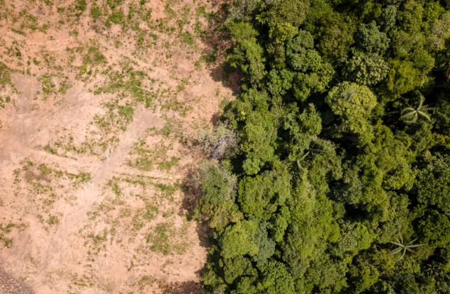 ООН: Голяма част от природата е загубена