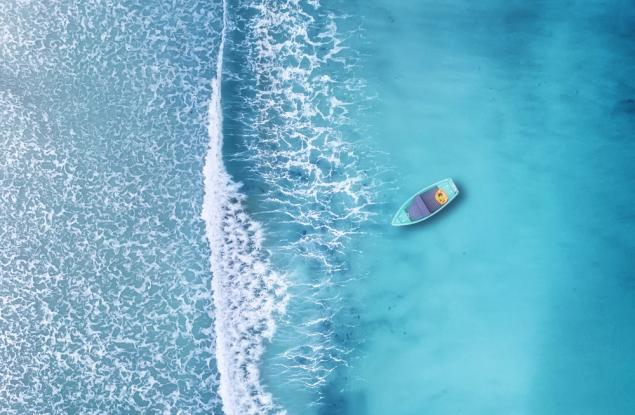 Дейвид Ленг: Да защитим океаните като национални паркове