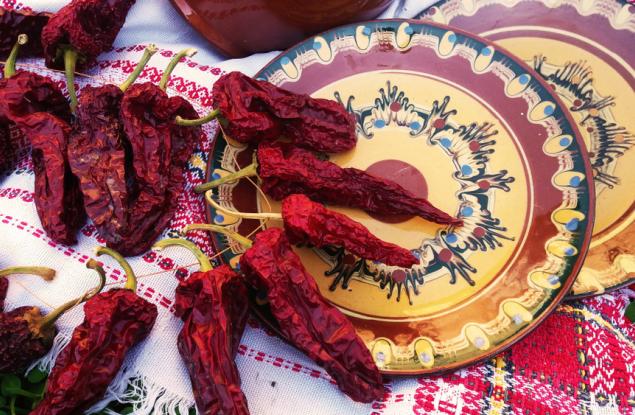 Учени подготвят кулинарна, езикова карта на България