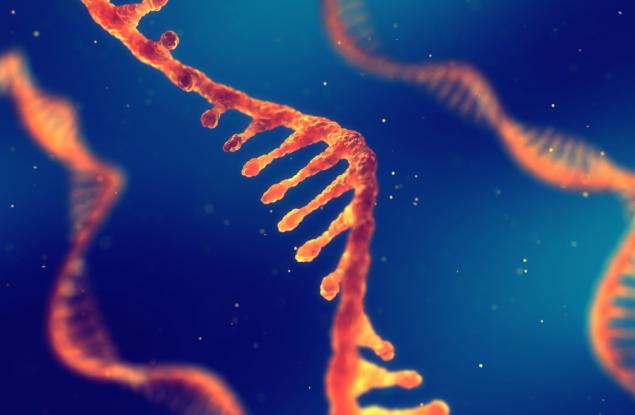 Разкриха механизъм, регулиращ продължителността на живота