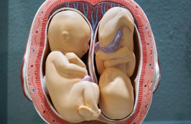 Китайски учен твърди, че е създал първите генетично модифицирани бебета