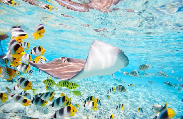 10 плажа с кристално чиста вода