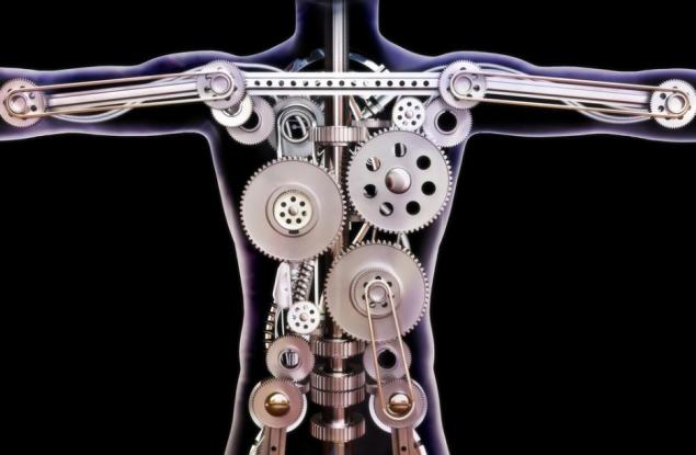 Вижте какво става с вашето тяло в рамките на 24 часа