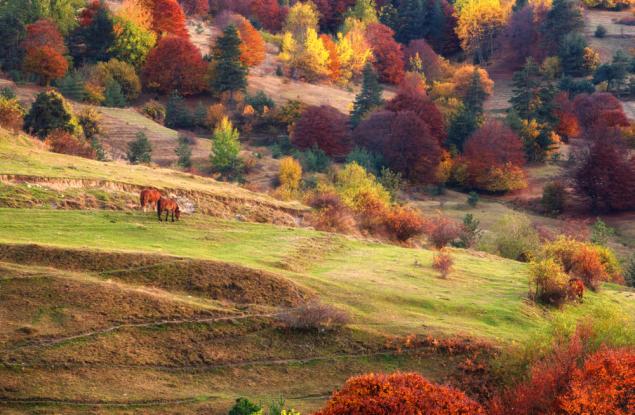 20 снимки, разкриващи красотата на есента в България