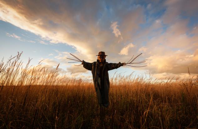 Притча за плашилото