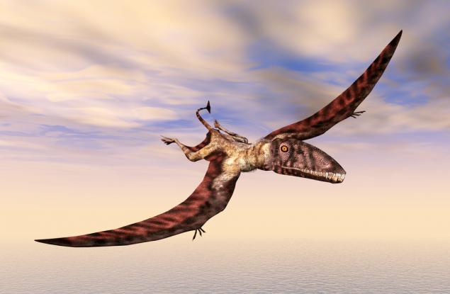 Летящ хищник с размерите на малък самолет е бил цар на небето преди много години