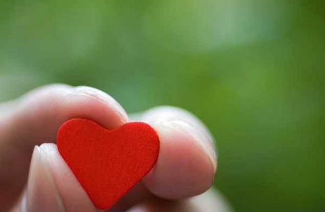 Сродни души по пътя