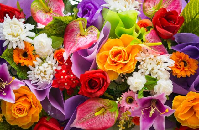 Честит 8-и март!