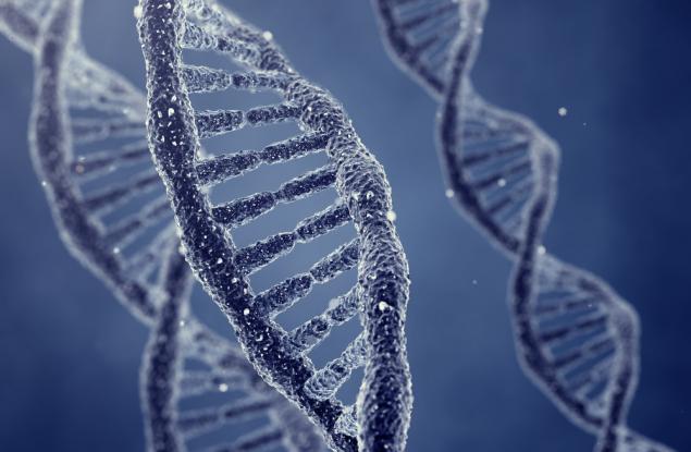 Заснеха за първи път репликацията на ДНК