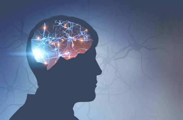 В човешкия мозък вероятно живеят бактерии