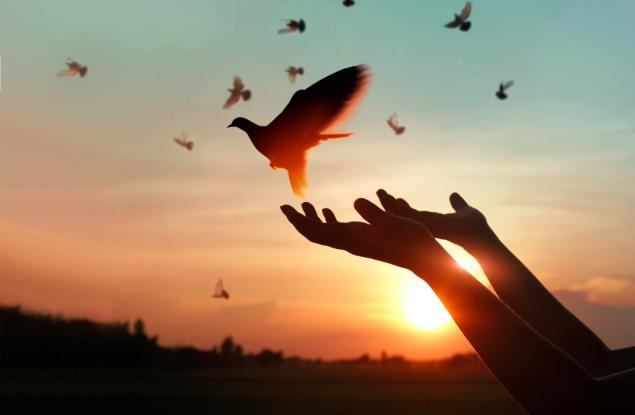 Джани Родари за прошката