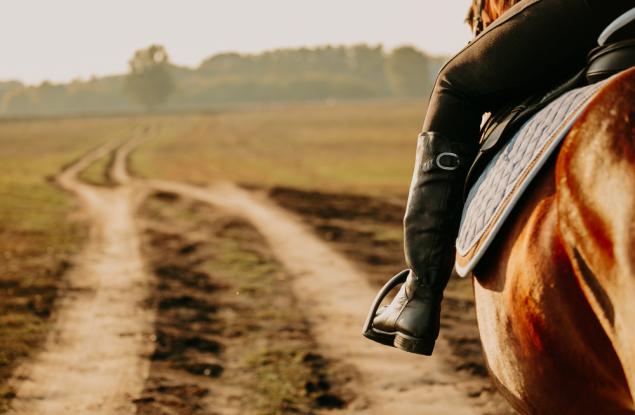 Времето е живот