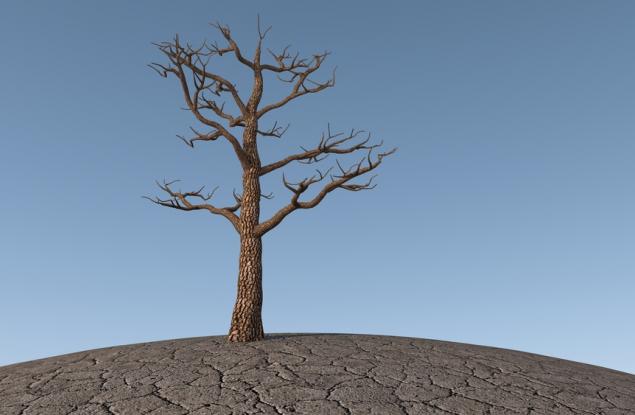 Начинът, по който използваме земята, задълбочава климатичната криза