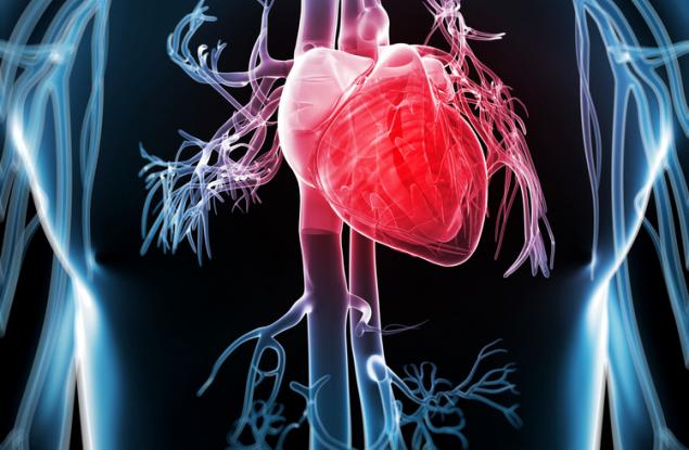 Нов обещаващ метод за борба със сърдечните болести