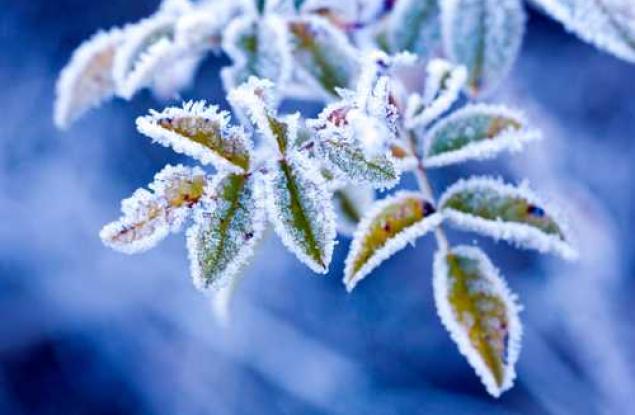 НАСА: Невиждан студ заплашва Земята