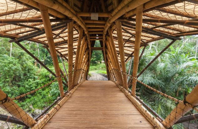 Джон Харди: Моята мечта за зелено училище