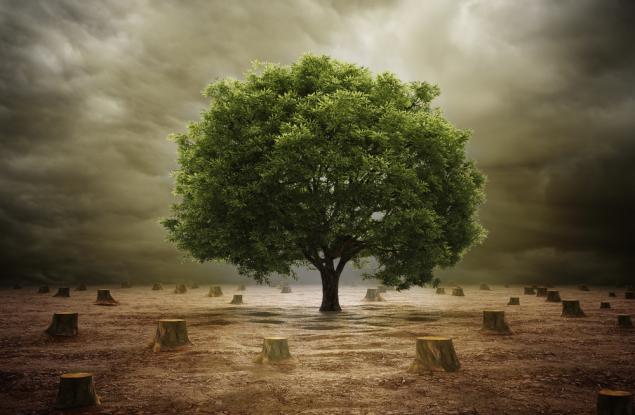 Светът навлезе в екологичен дълг