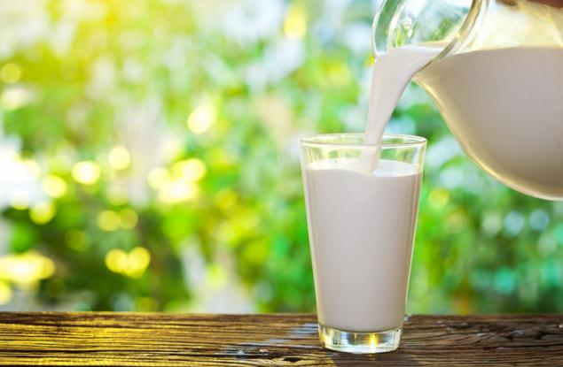 Мляко от хлебарки - неочакваната суперхрана на бъдещето