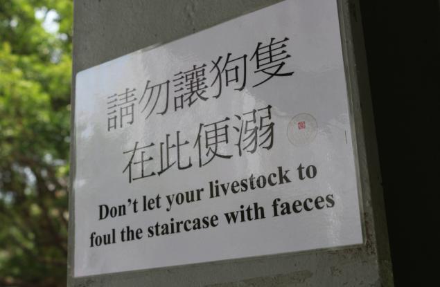 Изгубени в превода: 55 преводачески бисера, които ще ви разсмеят