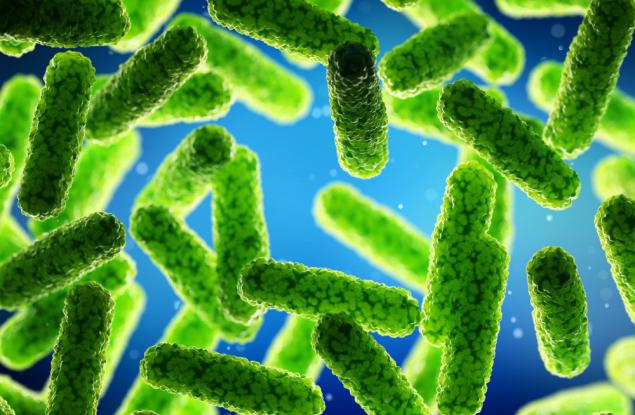 Месоядна бактерия изяде 25 процента от кожата на човек