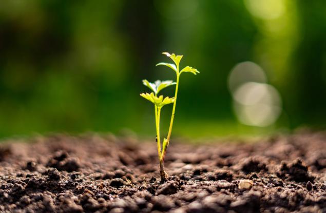 Паулу Коелю за успеха, напредъка и щастието