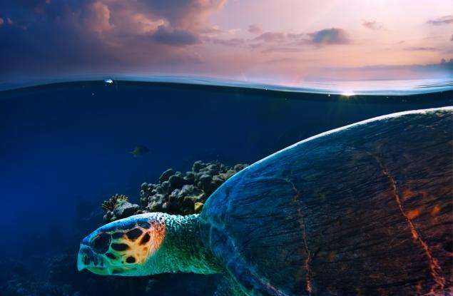 20 невероятни снимки, направени "между два свята"