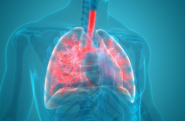 Хората с наднормено тегло имат мазнини и в белите си дробове