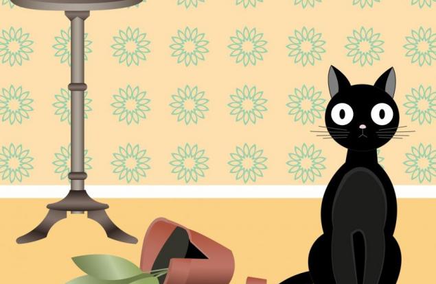 Защо никога да НЕ си взимате котка