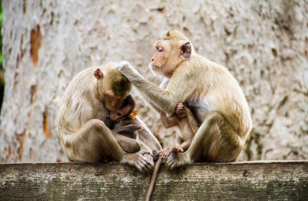 Притчата за търсещия